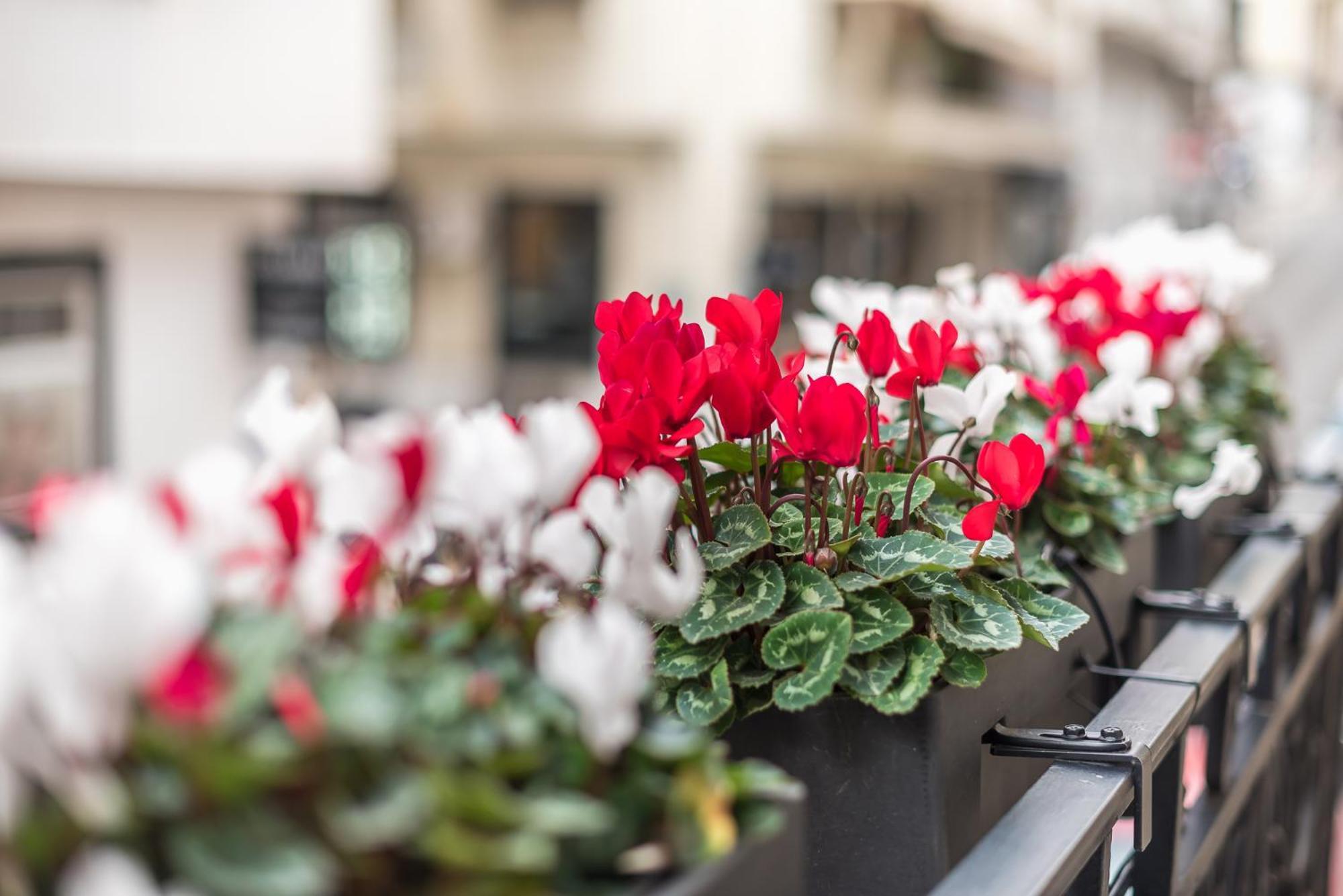 The Rare Luxury Gem Near Syntagma, Kolonaki Square Apartment Athena Bagian luar foto